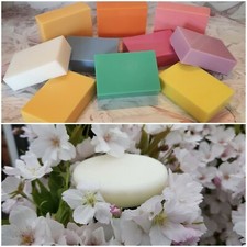 Solid Shampoo ~ 100g &